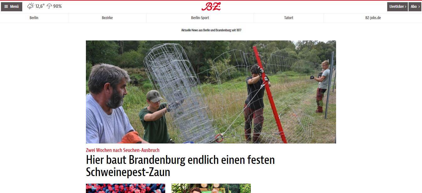 German 29 BZ website