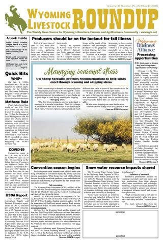 Wyoming Newspapers 25 Wyoming Livestock Roundup Casper